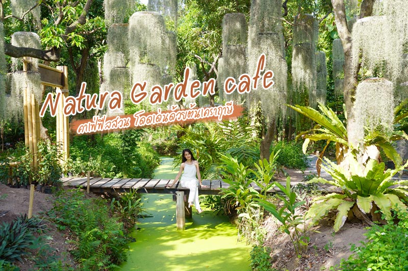Natura Garden Cafe คาเฟ่ฟีลสวน โดดเด่นด้วยต้นเคราฤาษี