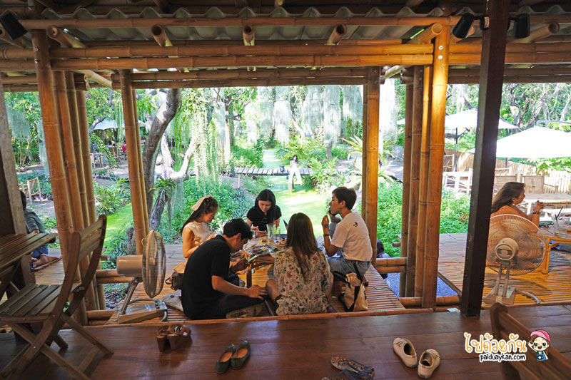 natura garden cafe, ภูมิใจการ์เด้น, คาเฟ่พระราม2, natura garden cafe คาเฟ่ฟีลสวน โดดเด่นด้วยต้นเคราฤาษี