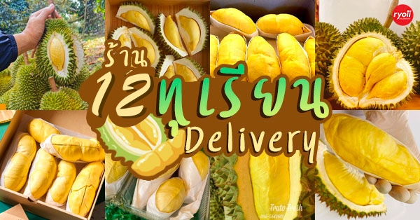 ทุเรียนหมอนทองจันทบุรี, Fresh Mate, ทุเรียนหมอนทองตลอดปี, ทุเรียนเฮียถุง Delivery, ALOHA Premium - Durian Delivery, ทุเรียนน้องนิด, เจ้แหม่ม ผลไม้ &amp; ทุเรียน, aDay Fresh, ทุเรียนเจ๊ฟีม ตลาดสี่มุมเมือง, ทุเรียน เดลิเวอรี่ by รุ่งกาญจน์ อตก., Siam Golden Fruit, , Top 13+ ร้านทุเรียน Delivery ราชาผลไม้อร่อยหวานมัน รสชาติดีเหมือนไปซื้อเองที่สวน!
