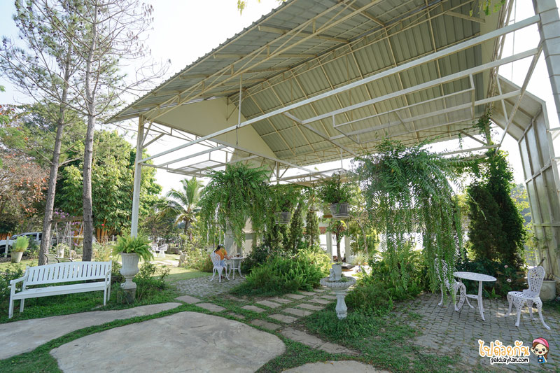 ร้านกาแฟวังน้ำเขียว, วังน้ำเขียว, คาเฟ่วังน้ำเขียว, sunset lagoon วังน้ำเขียว, sunset lagoon วังน้ำเขียว