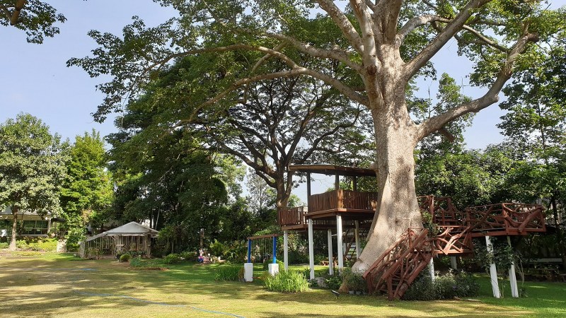 top 10+ ที่พักสระบุรี 2567 ที่พักติดลำธารและน้ำตก ราคาหลักร้อย