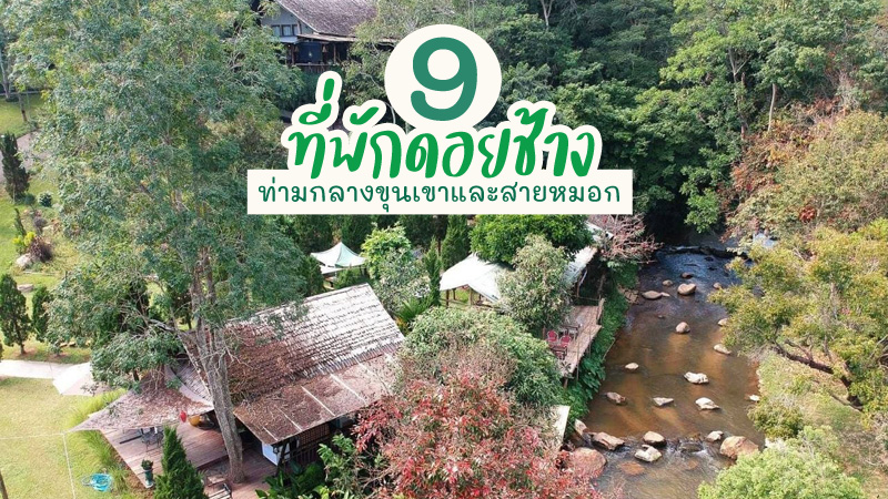 1. เดอะ ไวท์ เฮาส์ บูทิก รีสอร์ต (The White House Boutique Resort), 2. คะแนรี่ เนเชอรัล รีสอร์ท (Canary Natural Resort), 3. Terre Terrace Glamping &ndash; Doichang, 4. ป่าสักทอง (Pa Sak Tong), 5. เลาลีฮิลล์รีสอร์ท (Laulee hill resort), 6. สีสัน น้ำกรณ์ รีสอร์ต (Season Namkorn Resort), 7. เรือนดารากรณ์ (Villa Darakorn), 8. บ้านสวนจันทรา โฮมสเตย์ (Baan Suan Jantra Home Stay), 9. ก๋ำปอ อาร์ต สตูดิโอ (Gumpor Art Studio), Top 9+ ที่พักดอยช้าง 2567 จ.เชียงราย ที่พักท่ามกลางขุนเขาและสายหมอก