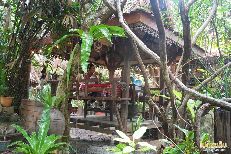ร้านขนมจีนสวนลุงลี, ร้านขนมจีนสตูล, ร้านอาหารสตูล, ร้านอาหารอร่อยสตูล, ขนมจีนสวนลุงลี สตูล รับประกันความอร่อย