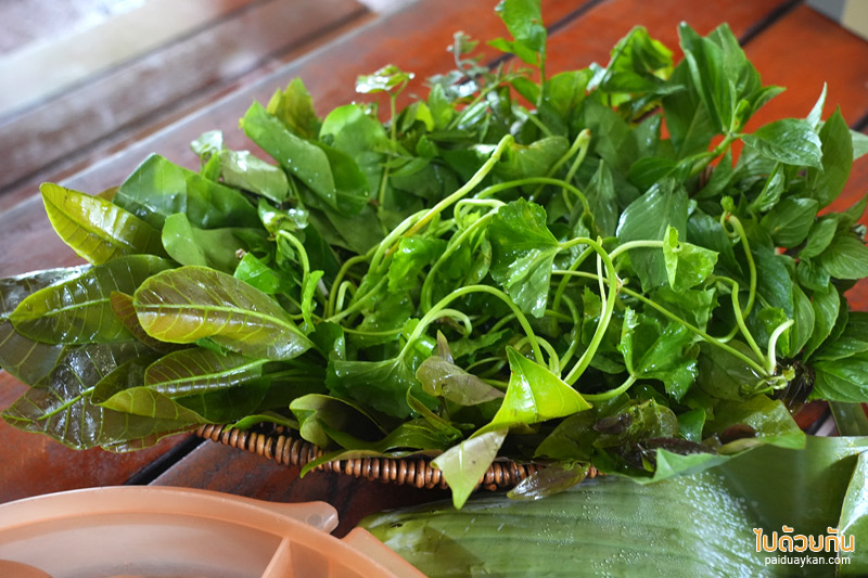 ร้านขนมจีนสวนลุงลี, ร้านขนมจีนสตูล, ร้านอาหารสตูล, ร้านอาหารอร่อยสตูล, ขนมจีนสวนลุงลี สตูล รับประกันความอร่อย