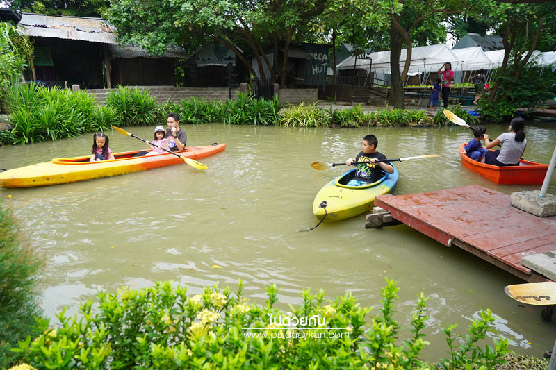 สถานที่ท่องเที่ยวปทุมธานี, คาเฟ่ปทุมธานี, ร้านกาแฟปทุมธานี, 1000 ไม้cafe & farm, บ้าน1000ไม้, บ้าน ๑,๐๐๐  ไม้ cafe & farm แหล่งเรียนรู้การเกษตรสำหรับเยาวชน