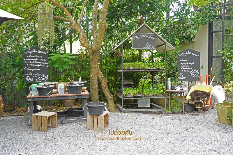 สถานที่ท่องเที่ยวปทุมธานี, คาเฟ่ปทุมธานี, ร้านกาแฟปทุมธานี, 1000 ไม้cafe & farm, บ้าน1000ไม้, บ้าน ๑,๐๐๐  ไม้ cafe & farm แหล่งเรียนรู้การเกษตรสำหรับเยาวชน