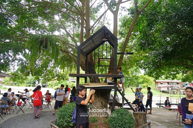 สถานที่ท่องเที่ยวปทุมธานี, คาเฟ่ปทุมธานี, ร้านกาแฟปทุมธานี, 1000 ไม้cafe & farm, บ้าน1000ไม้, บ้าน ๑,๐๐๐  ไม้ cafe & farm แหล่งเรียนรู้การเกษตรสำหรับเยาวชน