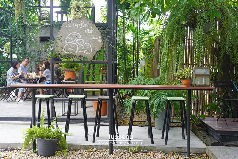 สถานที่ท่องเที่ยวปทุมธานี, คาเฟ่ปทุมธานี, ร้านกาแฟปทุมธานี, 1000 ไม้cafe & farm, บ้าน1000ไม้, บ้าน ๑,๐๐๐  ไม้ cafe & farm แหล่งเรียนรู้การเกษตรสำหรับเยาวชน