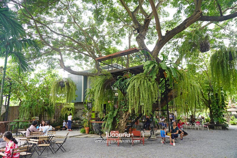 บ้าน ๑,๐๐๐  ไม้ Cafe &amp; Farm แหล่งเรียนรู้การเกษตรสำหรับเยาวชน