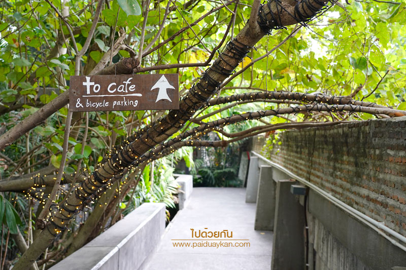 hiddenwoods บางกระเจ้า, ฮิดเดิลวูดส์ บางกระเจ้า, ร้านกาแฟบางกระเจ้า, คาเฟ่บางกระเจ้า, บางกระเจ้า, ฮิดเดิลวูดส์ บางกระเจ้า คาเฟ่ริมน้ำ กลางแมกไม้สีเขียว