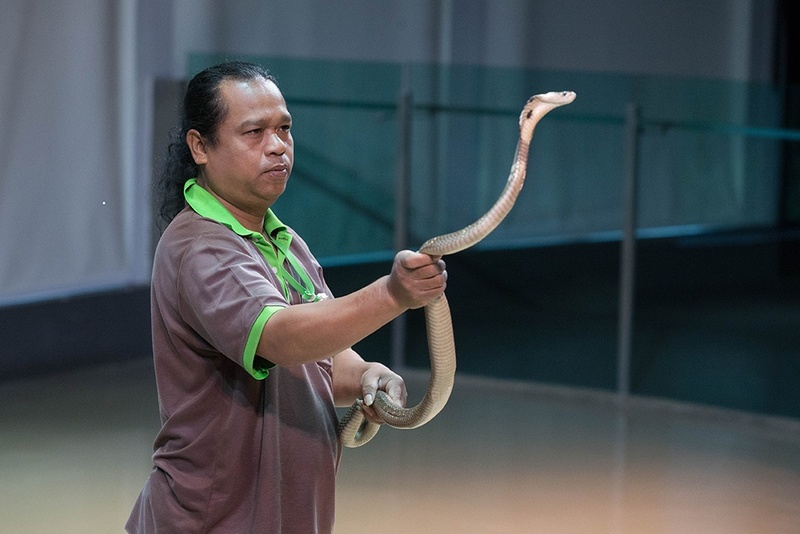 moca, ค่าเข้ามิวเซียมสยาม, ชุมชนป้อมมหากาฬ, ซีไลฟ์ แบงคอก, ท้องฟ้าจำลองกรุงเทพ, นิทรรศน์รัตนโกสินทร์, ป้อมมหากาฬ, พิพิธภัณฑสถานแห่งชาติ พระนคร, พิพิธภัณฑ์, พิพิธภัณฑ์ กทม, พิพิธภัณฑ์ กรุงเทพ, พิพิธภัณฑ์ น่าสนใจ, พิพิธภัณฑ์ น่าเดิน, พิพิธภัณฑ์ น่าเที่ยว, พิพิธภัณฑ์งู, พิพิธภัณฑ์ชาวบางกอก, พิพิธภัณฑ์ที่มีชีวิต, พิพิธภัณฑ์บ้านจิม ทอมป์สัน, พิพิธภัณฑ์บ้านหมอหวาน, พิพิธภัณฑ์ศิลปะ, พิพิธภัณฑ์ศิลปะไทยร่วมสมัย, พิพิธภัณฑ์หุ่นขี้ผึ้ง, พิพิธภัณฑ์ในกรุงเทพ, พิพิธภัณ์การเรียนรู้, มาดามทุสโซ กรุงเทพ, มิวเซียมสยาม, สยาม เซอร์เพนทาเรียม, หอศิลป์กรุงเทพ, อาร์ท อิน พาราไดซ์, top 15+ พิพิธภัณฑ์ ในกรุงเทพ น่าเดินเที่ยว สนุกสนาน