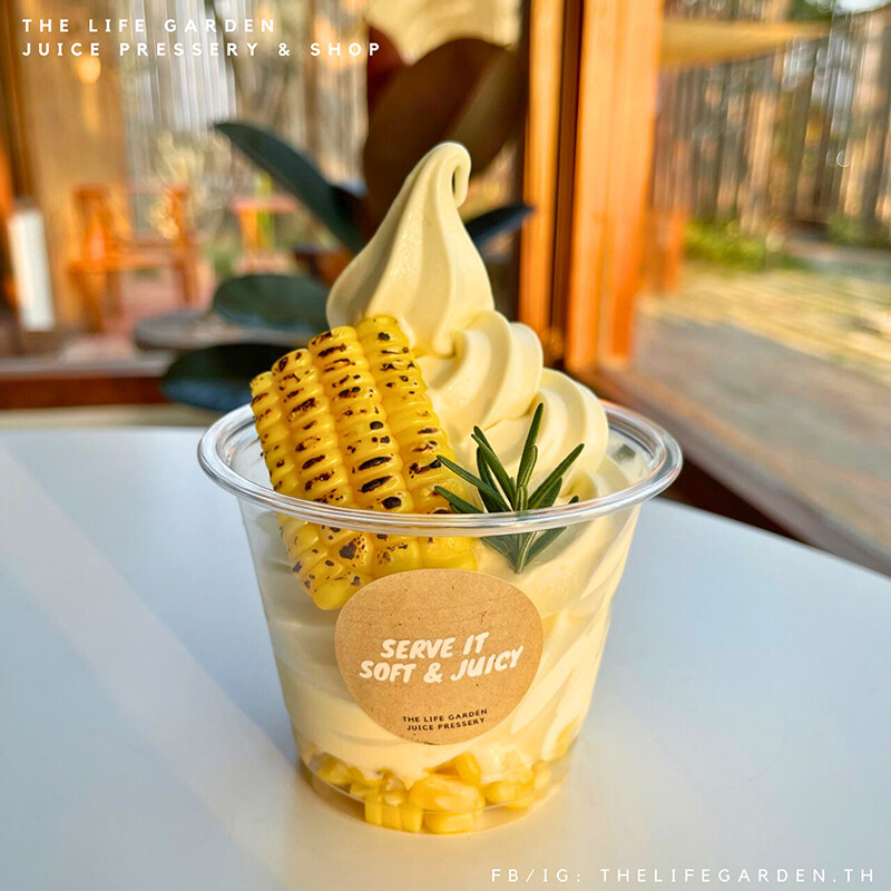 top 9+ คาเฟ่เพชรบุรี 2567 เปิดใหม่ บรรยากาศดี ติดทะเล ธรรมชาติ
