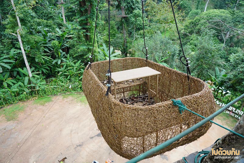 คาเฟ่ปางไฮ, คาเฟ่ดอยสะเก็ด, sky hawk café คาเฟ่ลับกลางป่าใหญ่ กับมุมที่นั่งลอยฟ้าสุดเก๋