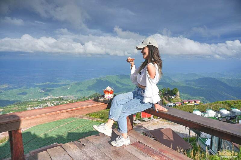 ยอดภูคาเฟ่ ภูทับเบิก จิบชาอุ่น ชมผาหัวสิงห์ ชิลให้สุดใจ