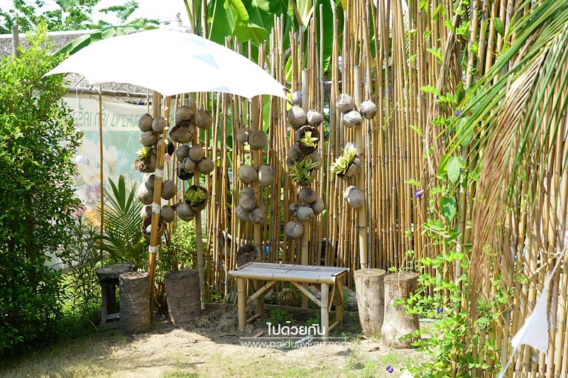 นครปฐม, คาเฟ่นครปฐม, ร้านอาหารนครปฐม, about coco cafe’ & bistro, คาเฟ่ในสวนนครปฐม, about coco cafe’ & bistro คาเฟ่ริมน้ำ สุดชิลกลางสวน