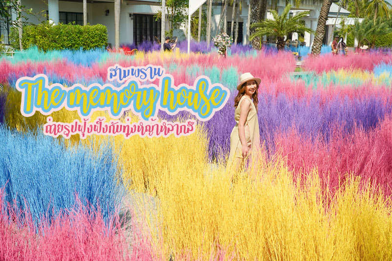 Memory House Cafe สามพราน ถ่ายรูปฟุ้งฟิ้งกับทุ่งหญ้าหลากสี