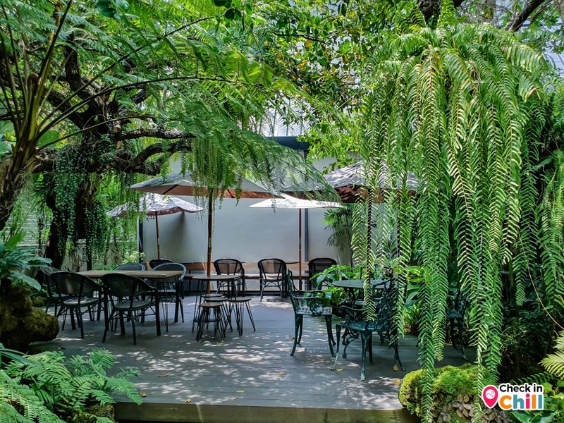 10cc, 10cc coffee and co, คาเฟ่นนทบุรี, คาเฟ่เมืองทองธานี, รีวิว 10 cc coffee & co. ย่านเมืองทองธานี คาเฟ่ธรรมชาติกลางเมืองสุดฟิน