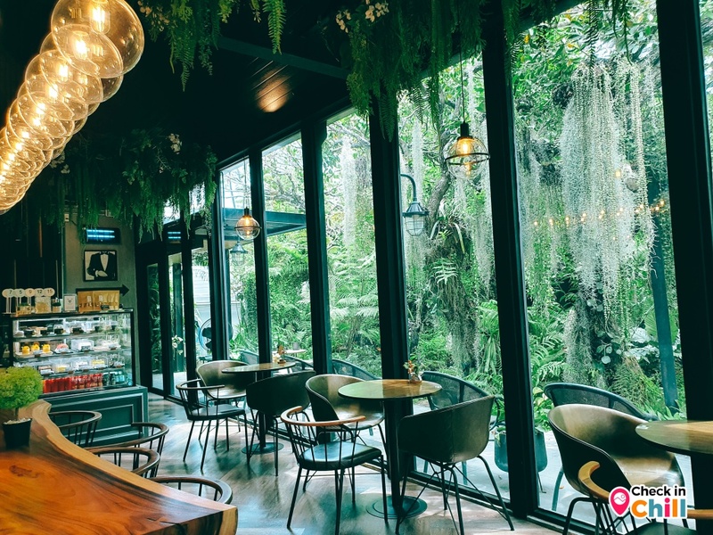 10cc, 10cc coffee and co, คาเฟ่นนทบุรี, คาเฟ่เมืองทองธานี, รีวิว 10 cc coffee & co. ย่านเมืองทองธานี คาเฟ่ธรรมชาติกลางเมืองสุดฟิน