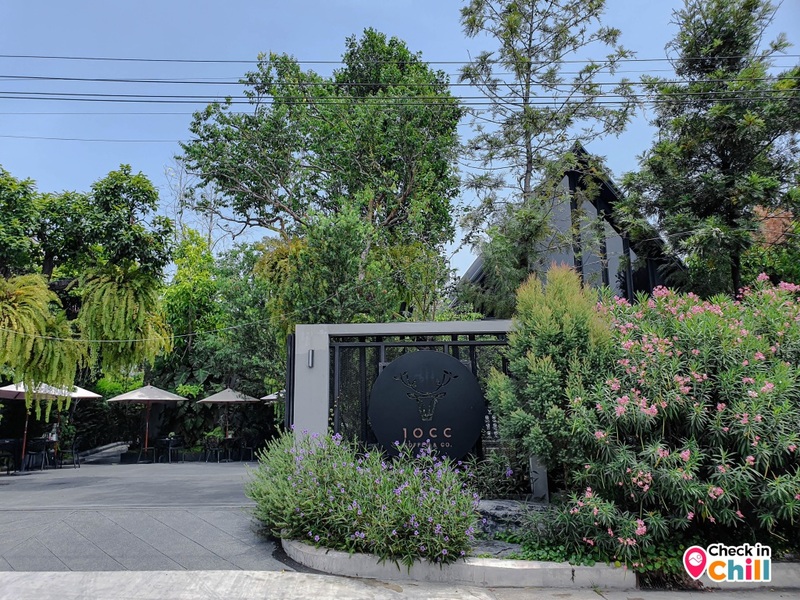 รีวิว 10 cc Coffee &amp; Co. ย่านเมืองทองธานี คาเฟ่ธรรมชาติกลางเมืองสุดฟิน