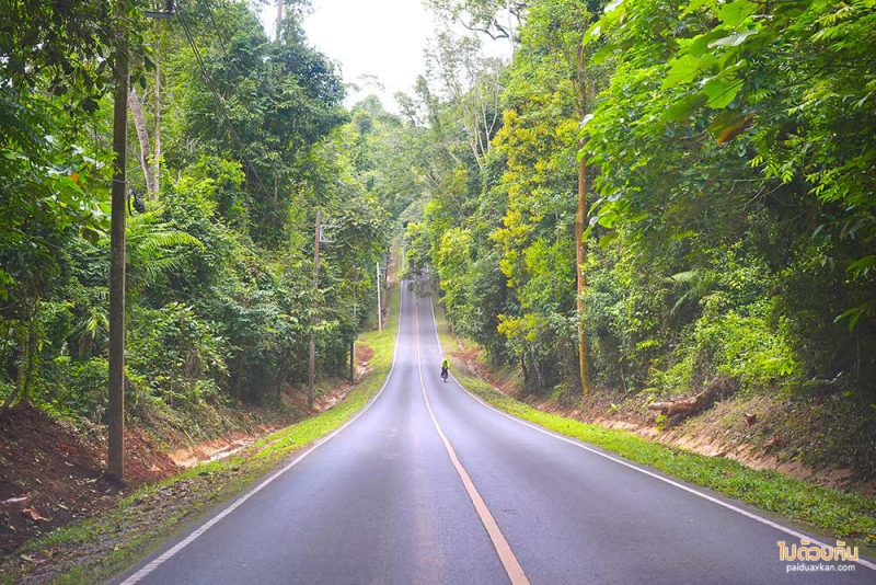 อุทยานแห่งชาติเขาใหญ่, ทุ่งหญ้าเขาใหญ่, เที่ยวเขาใหญ่, เขาใหญ่, ปลุกความสดชื่น เปิดประสบการณ์เที่ยวธรรมชาติ ที่ อุทยานแห่งชาติเขาใหญ่