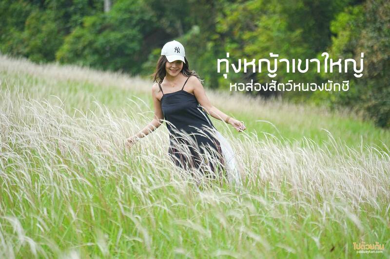 ปลุกความสดชื่น เปิดประสบการณ์เที่ยวธรรมชาติ ที่ อุทยานแห่งชาติเขาใหญ่