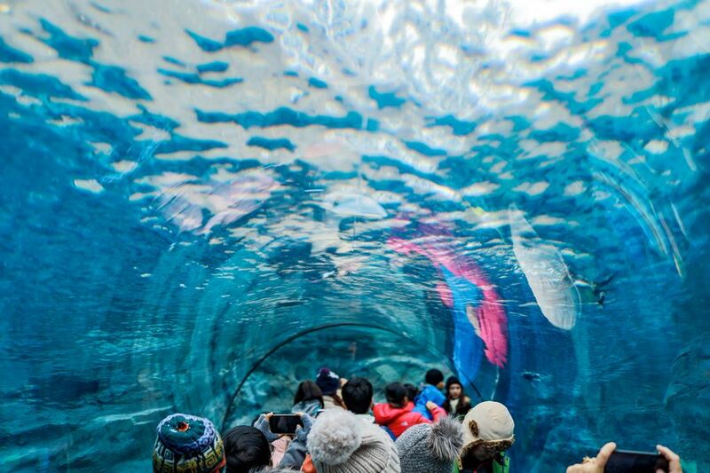 asahiyama zoo, daimaru, hill of the buddha, hokkaido shrine, jigokudani noboribetsu, lake shikotsu, makomonai takino, mt. moiwa, nijo market, nikka, ningle terrance, niseko village ski resort, noren yokocho, otaru, otaru aquarium, sapporo station, sapporo stellar place, snow festival, susukino, tanukikoji, ขนมฮอกไกโด, คลองโอตารุ, จุดชมวิวโมอิวะ, ซัปโปโร, ซูซูกิโนะ, ตลาดนิโจ, ทะเลสาปชิโกสึ, ทานูกิโคจิ, นิเซโกะ สกีรีสอร์ท, พิพิธภัณฑ์สัตว์น้ำโอตารุ, ภูเขาโมอิวะ, ย่านซูซูกิโนะ, ลานสกีฮอกไกโด, ศาลเจ้าฮอกไกโด, สถานีรถไฟซัปโปโร, สวนสัตว์อาซาฮิยามะ, หมู่บ้านเทพนิยาย, หุบเขานรก, ฮอกไกโด 2024, ฮอกไกโด 2567, เที่ยวฮอกไกโด 2024, เที่ยวฮอกไกโด 2567, เนินเขาแห่งพระพุทธเจ้า, เเล่นสกีฮอกไกโด, แลนด์มาร์ฮอกไกโด, โมอาย ฮอกไกโด, top 15+ ที่เที่ยวฮอกไกโด 2024 เก็บทุกจุดแลนด์มาร์ค บรรยากาศฟินๆ