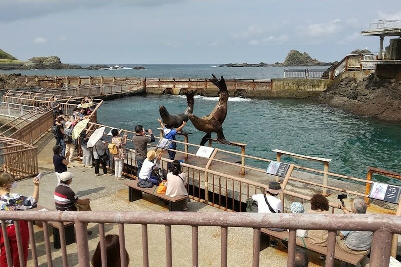asahiyama zoo, daimaru, hill of the buddha, hokkaido shrine, jigokudani noboribetsu, lake shikotsu, makomonai takino, mt. moiwa, nijo market, nikka, ningle terrance, niseko village ski resort, noren yokocho, otaru, otaru aquarium, sapporo station, sapporo stellar place, snow festival, susukino, tanukikoji, ขนมฮอกไกโด, คลองโอตารุ, จุดชมวิวโมอิวะ, ซัปโปโร, ซูซูกิโนะ, ตลาดนิโจ, ทะเลสาปชิโกสึ, ทานูกิโคจิ, นิเซโกะ สกีรีสอร์ท, พิพิธภัณฑ์สัตว์น้ำโอตารุ, ภูเขาโมอิวะ, ย่านซูซูกิโนะ, ลานสกีฮอกไกโด, ศาลเจ้าฮอกไกโด, สถานีรถไฟซัปโปโร, สวนสัตว์อาซาฮิยามะ, หมู่บ้านเทพนิยาย, หุบเขานรก, ฮอกไกโด 2024, ฮอกไกโด 2567, เที่ยวฮอกไกโด 2024, เที่ยวฮอกไกโด 2567, เนินเขาแห่งพระพุทธเจ้า, เเล่นสกีฮอกไกโด, แลนด์มาร์ฮอกไกโด, โมอาย ฮอกไกโด, top 15+ ที่เที่ยวฮอกไกโด 2024 เก็บทุกจุดแลนด์มาร์ค บรรยากาศฟินๆ