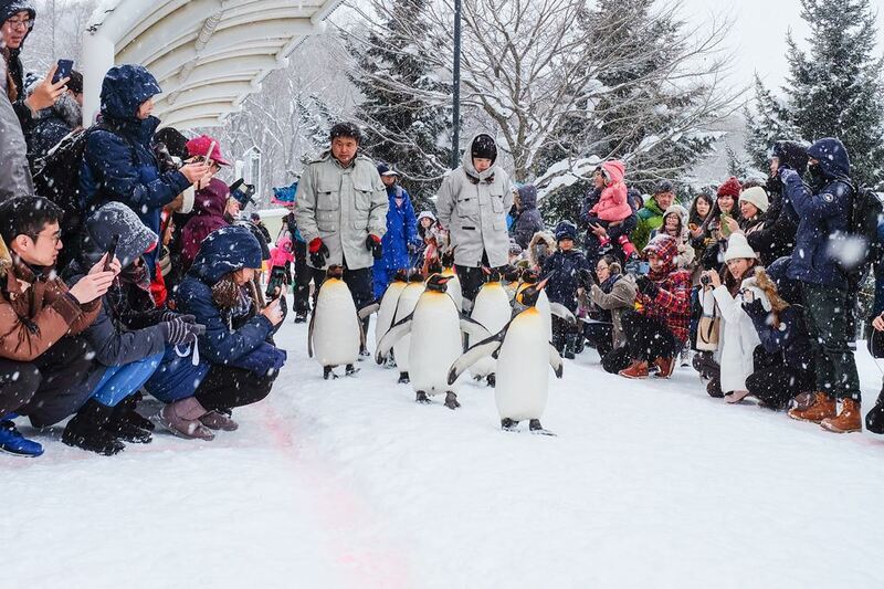 asahiyama zoo, daimaru, hill of the buddha, hokkaido shrine, jigokudani noboribetsu, lake shikotsu, makomonai takino, mt. moiwa, nijo market, nikka, ningle terrance, niseko village ski resort, noren yokocho, otaru, otaru aquarium, sapporo station, sapporo stellar place, snow festival, susukino, tanukikoji, ขนมฮอกไกโด, คลองโอตารุ, จุดชมวิวโมอิวะ, ซัปโปโร, ซูซูกิโนะ, ตลาดนิโจ, ทะเลสาปชิโกสึ, ทานูกิโคจิ, นิเซโกะ สกีรีสอร์ท, พิพิธภัณฑ์สัตว์น้ำโอตารุ, ภูเขาโมอิวะ, ย่านซูซูกิโนะ, ลานสกีฮอกไกโด, ศาลเจ้าฮอกไกโด, สถานีรถไฟซัปโปโร, สวนสัตว์อาซาฮิยามะ, หมู่บ้านเทพนิยาย, หุบเขานรก, ฮอกไกโด 2024, ฮอกไกโด 2567, เที่ยวฮอกไกโด 2024, เที่ยวฮอกไกโด 2567, เนินเขาแห่งพระพุทธเจ้า, เเล่นสกีฮอกไกโด, แลนด์มาร์ฮอกไกโด, โมอาย ฮอกไกโด, top 15+ ที่เที่ยวฮอกไกโด 2024 เก็บทุกจุดแลนด์มาร์ค บรรยากาศฟินๆ