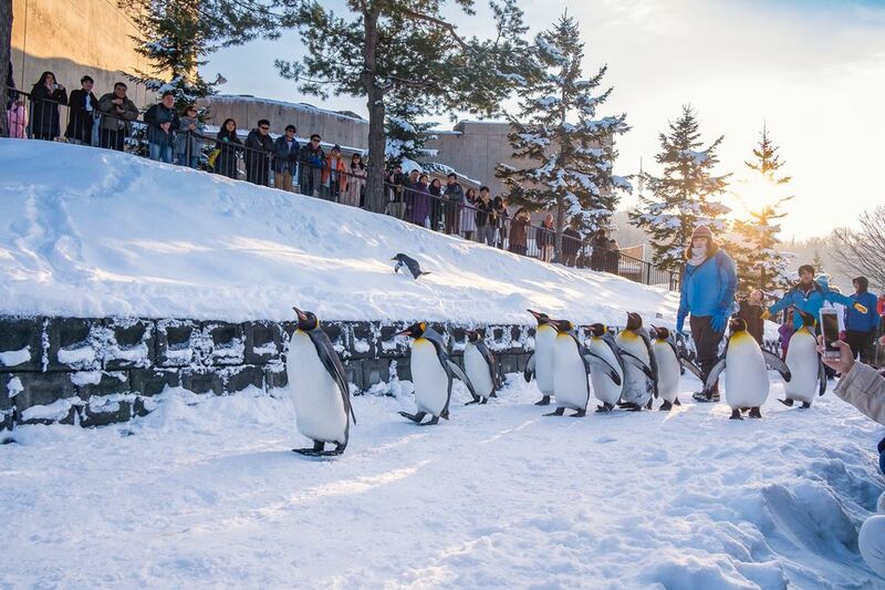 asahiyama zoo, daimaru, hill of the buddha, hokkaido shrine, jigokudani noboribetsu, lake shikotsu, makomonai takino, mt. moiwa, nijo market, nikka, ningle terrance, niseko village ski resort, noren yokocho, otaru, otaru aquarium, sapporo station, sapporo stellar place, snow festival, susukino, tanukikoji, ขนมฮอกไกโด, คลองโอตารุ, จุดชมวิวโมอิวะ, ซัปโปโร, ซูซูกิโนะ, ตลาดนิโจ, ทะเลสาปชิโกสึ, ทานูกิโคจิ, นิเซโกะ สกีรีสอร์ท, พิพิธภัณฑ์สัตว์น้ำโอตารุ, ภูเขาโมอิวะ, ย่านซูซูกิโนะ, ลานสกีฮอกไกโด, ศาลเจ้าฮอกไกโด, สถานีรถไฟซัปโปโร, สวนสัตว์อาซาฮิยามะ, หมู่บ้านเทพนิยาย, หุบเขานรก, ฮอกไกโด 2024, ฮอกไกโด 2567, เที่ยวฮอกไกโด 2024, เที่ยวฮอกไกโด 2567, เนินเขาแห่งพระพุทธเจ้า, เเล่นสกีฮอกไกโด, แลนด์มาร์ฮอกไกโด, โมอาย ฮอกไกโด, top 15+ ที่เที่ยวฮอกไกโด 2024 เก็บทุกจุดแลนด์มาร์ค บรรยากาศฟินๆ
