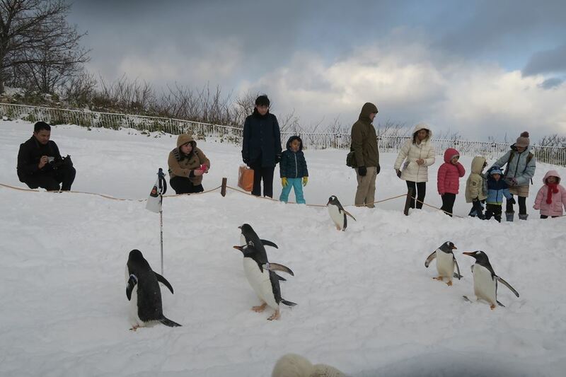 asahiyama zoo, daimaru, hill of the buddha, hokkaido shrine, jigokudani noboribetsu, lake shikotsu, makomonai takino, mt. moiwa, nijo market, nikka, ningle terrance, niseko village ski resort, noren yokocho, otaru, otaru aquarium, sapporo station, sapporo stellar place, snow festival, susukino, tanukikoji, ขนมฮอกไกโด, คลองโอตารุ, จุดชมวิวโมอิวะ, ซัปโปโร, ซูซูกิโนะ, ตลาดนิโจ, ทะเลสาปชิโกสึ, ทานูกิโคจิ, นิเซโกะ สกีรีสอร์ท, พิพิธภัณฑ์สัตว์น้ำโอตารุ, ภูเขาโมอิวะ, ย่านซูซูกิโนะ, ลานสกีฮอกไกโด, ศาลเจ้าฮอกไกโด, สถานีรถไฟซัปโปโร, สวนสัตว์อาซาฮิยามะ, หมู่บ้านเทพนิยาย, หุบเขานรก, ฮอกไกโด 2024, ฮอกไกโด 2567, เที่ยวฮอกไกโด 2024, เที่ยวฮอกไกโด 2567, เนินเขาแห่งพระพุทธเจ้า, เเล่นสกีฮอกไกโด, แลนด์มาร์ฮอกไกโด, โมอาย ฮอกไกโด, top 15+ ที่เที่ยวฮอกไกโด 2024 เก็บทุกจุดแลนด์มาร์ค บรรยากาศฟินๆ