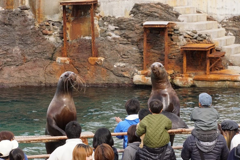 asahiyama zoo, daimaru, hill of the buddha, hokkaido shrine, jigokudani noboribetsu, lake shikotsu, makomonai takino, mt. moiwa, nijo market, nikka, ningle terrance, niseko village ski resort, noren yokocho, otaru, otaru aquarium, sapporo station, sapporo stellar place, snow festival, susukino, tanukikoji, ขนมฮอกไกโด, คลองโอตารุ, จุดชมวิวโมอิวะ, ซัปโปโร, ซูซูกิโนะ, ตลาดนิโจ, ทะเลสาปชิโกสึ, ทานูกิโคจิ, นิเซโกะ สกีรีสอร์ท, พิพิธภัณฑ์สัตว์น้ำโอตารุ, ภูเขาโมอิวะ, ย่านซูซูกิโนะ, ลานสกีฮอกไกโด, ศาลเจ้าฮอกไกโด, สถานีรถไฟซัปโปโร, สวนสัตว์อาซาฮิยามะ, หมู่บ้านเทพนิยาย, หุบเขานรก, ฮอกไกโด 2024, ฮอกไกโด 2567, เที่ยวฮอกไกโด 2024, เที่ยวฮอกไกโด 2567, เนินเขาแห่งพระพุทธเจ้า, เเล่นสกีฮอกไกโด, แลนด์มาร์ฮอกไกโด, โมอาย ฮอกไกโด, top 15+ ที่เที่ยวฮอกไกโด 2024 เก็บทุกจุดแลนด์มาร์ค บรรยากาศฟินๆ