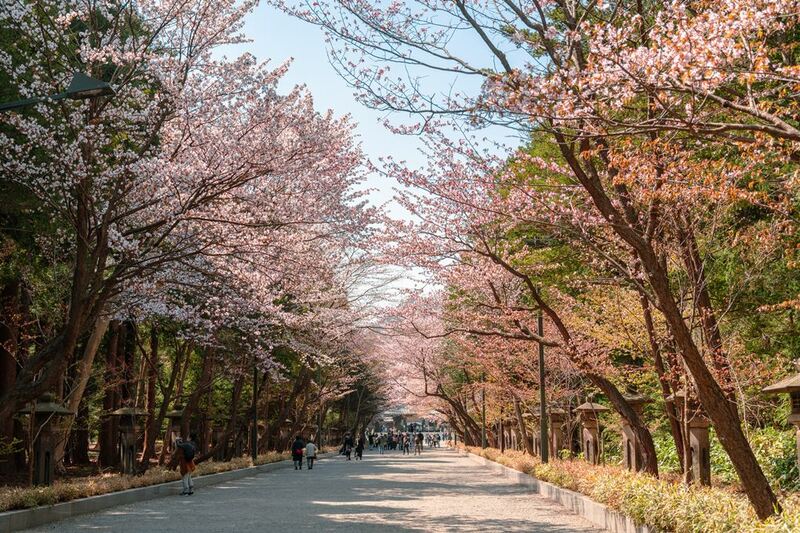 asahiyama zoo, daimaru, hill of the buddha, hokkaido shrine, jigokudani noboribetsu, lake shikotsu, makomonai takino, mt. moiwa, nijo market, nikka, ningle terrance, niseko village ski resort, noren yokocho, otaru, otaru aquarium, sapporo station, sapporo stellar place, snow festival, susukino, tanukikoji, ขนมฮอกไกโด, คลองโอตารุ, จุดชมวิวโมอิวะ, ซัปโปโร, ซูซูกิโนะ, ตลาดนิโจ, ทะเลสาปชิโกสึ, ทานูกิโคจิ, นิเซโกะ สกีรีสอร์ท, พิพิธภัณฑ์สัตว์น้ำโอตารุ, ภูเขาโมอิวะ, ย่านซูซูกิโนะ, ลานสกีฮอกไกโด, ศาลเจ้าฮอกไกโด, สถานีรถไฟซัปโปโร, สวนสัตว์อาซาฮิยามะ, หมู่บ้านเทพนิยาย, หุบเขานรก, ฮอกไกโด 2024, ฮอกไกโด 2567, เที่ยวฮอกไกโด 2024, เที่ยวฮอกไกโด 2567, เนินเขาแห่งพระพุทธเจ้า, เเล่นสกีฮอกไกโด, แลนด์มาร์ฮอกไกโด, โมอาย ฮอกไกโด, top 15+ ที่เที่ยวฮอกไกโด 2024 เก็บทุกจุดแลนด์มาร์ค บรรยากาศฟินๆ