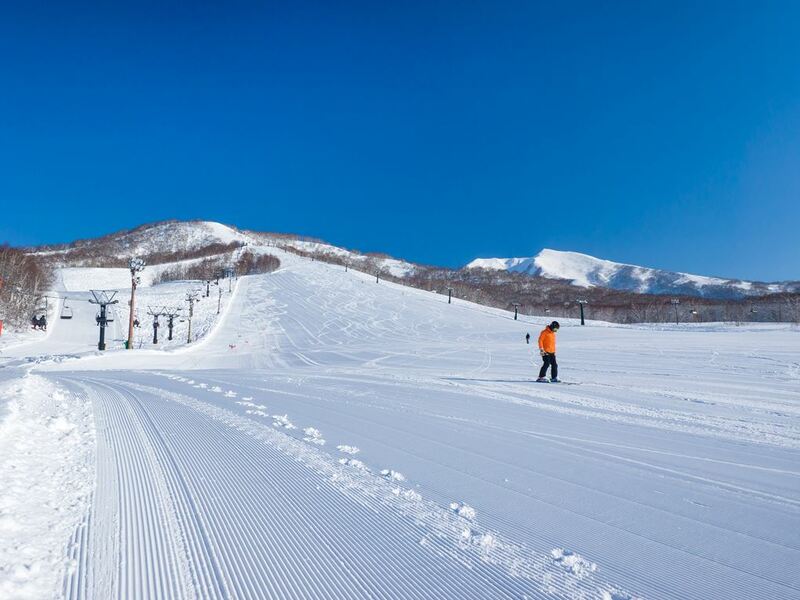 asahiyama zoo, daimaru, hill of the buddha, hokkaido shrine, jigokudani noboribetsu, lake shikotsu, makomonai takino, mt. moiwa, nijo market, nikka, ningle terrance, niseko village ski resort, noren yokocho, otaru, otaru aquarium, sapporo station, sapporo stellar place, snow festival, susukino, tanukikoji, ขนมฮอกไกโด, คลองโอตารุ, จุดชมวิวโมอิวะ, ซัปโปโร, ซูซูกิโนะ, ตลาดนิโจ, ทะเลสาปชิโกสึ, ทานูกิโคจิ, นิเซโกะ สกีรีสอร์ท, พิพิธภัณฑ์สัตว์น้ำโอตารุ, ภูเขาโมอิวะ, ย่านซูซูกิโนะ, ลานสกีฮอกไกโด, ศาลเจ้าฮอกไกโด, สถานีรถไฟซัปโปโร, สวนสัตว์อาซาฮิยามะ, หมู่บ้านเทพนิยาย, หุบเขานรก, ฮอกไกโด 2024, ฮอกไกโด 2567, เที่ยวฮอกไกโด 2024, เที่ยวฮอกไกโด 2567, เนินเขาแห่งพระพุทธเจ้า, เเล่นสกีฮอกไกโด, แลนด์มาร์ฮอกไกโด, โมอาย ฮอกไกโด, top 15+ ที่เที่ยวฮอกไกโด 2024 เก็บทุกจุดแลนด์มาร์ค บรรยากาศฟินๆ