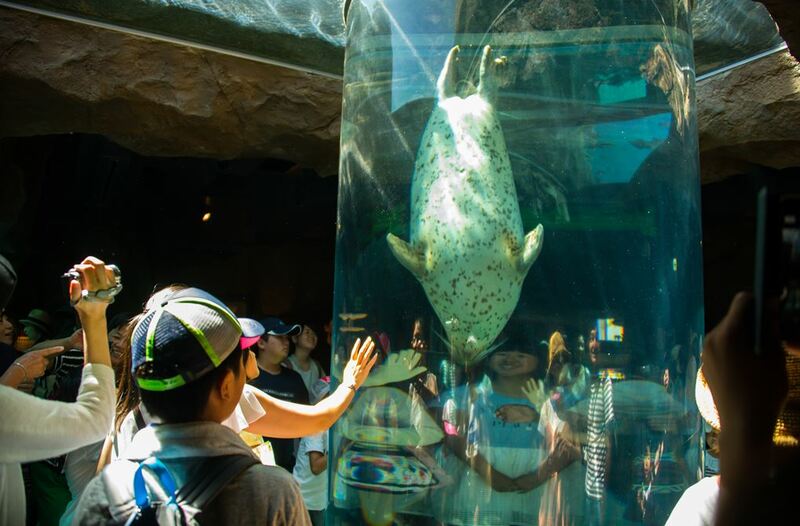 asahiyama zoo, daimaru, hill of the buddha, hokkaido shrine, jigokudani noboribetsu, lake shikotsu, makomonai takino, mt. moiwa, nijo market, nikka, ningle terrance, niseko village ski resort, noren yokocho, otaru, otaru aquarium, sapporo station, sapporo stellar place, snow festival, susukino, tanukikoji, ขนมฮอกไกโด, คลองโอตารุ, จุดชมวิวโมอิวะ, ซัปโปโร, ซูซูกิโนะ, ตลาดนิโจ, ทะเลสาปชิโกสึ, ทานูกิโคจิ, นิเซโกะ สกีรีสอร์ท, พิพิธภัณฑ์สัตว์น้ำโอตารุ, ภูเขาโมอิวะ, ย่านซูซูกิโนะ, ลานสกีฮอกไกโด, ศาลเจ้าฮอกไกโด, สถานีรถไฟซัปโปโร, สวนสัตว์อาซาฮิยามะ, หมู่บ้านเทพนิยาย, หุบเขานรก, ฮอกไกโด 2024, ฮอกไกโด 2567, เที่ยวฮอกไกโด 2024, เที่ยวฮอกไกโด 2567, เนินเขาแห่งพระพุทธเจ้า, เเล่นสกีฮอกไกโด, แลนด์มาร์ฮอกไกโด, โมอาย ฮอกไกโด, top 15+ ที่เที่ยวฮอกไกโด 2024 เก็บทุกจุดแลนด์มาร์ค บรรยากาศฟินๆ