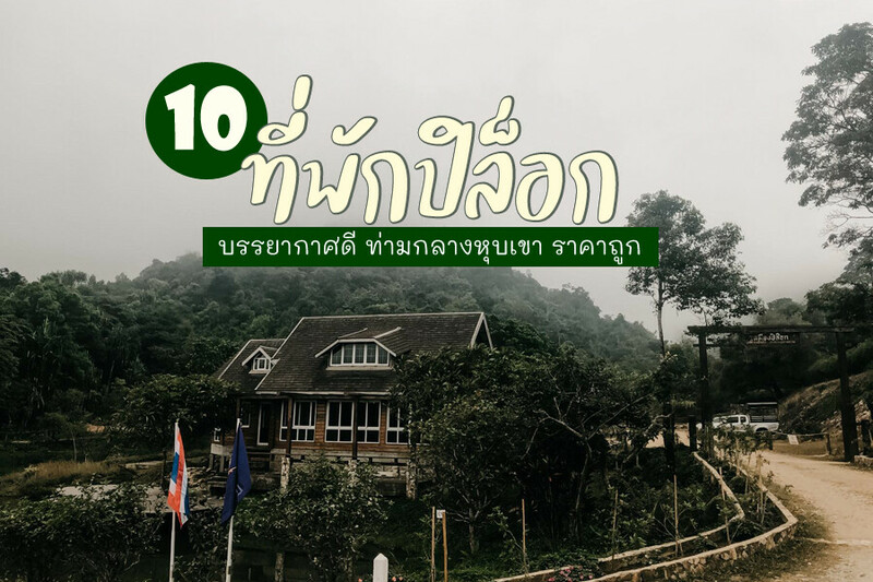 1. ไมนิ่งอินปิล๊อก โฮมสเตย์, 2. Love ปิล๊อกโฮมสเตย์, 3. อาร์มโฮมสเตย์, 4. อีต่องโฮมสเตย์, 5. ปิล๊อกพอเพลิน เพลิน โฮมสเตย์, 6. MyHome ที่พักเหมืองปิล็อก, 7. บ้านทานตะวันโฮมสเตย์, 8. ปิล็อก การ์เด้น ฮิว, 9. ผาแป โฮมสเตย์, 10. บ้านเลขที่9 โฮมสเตย์ ปิล๊อก, Top 10+ ที่พักปิล็อก 2567 ที่พักอีต่อง ปิล็อก ราคาถูก บรรยากาศดี ท่ามกลางหุบเขา