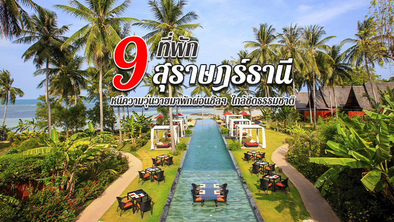 1. หาดเทียน บีช รีสอร์ท (Haadtien Beach Resort), 2. บุริ รสา เกาะพะงัน (Buri Rasa Koh Phangan), 3. คุปุ คุปุ พะงัน บีช วิลล่า แอนด์ สปา บาย ล็อกซิทาน (Kupu Kupu Phangan Beach Villas &amp; Spa by L&rsquo;Occitane), 4. แทงโก้ ลั้กซ์ บีช วิลล่า สมุย (Tango Luxe Beach Villa, Koh Samui), 5. เอาเวอร์ จังเกิ้ลเเคมป์ (Our Jungle Camp &ndash; Eco Resort), 6. เขาสก ริเวอร์ไซด์ คอทเทจ (Khao Sok Riverside Cottages), 7. ศะรีกันตัง รีสอร์ท แอนด์ สปา (Sarikantang Resort &amp; Spa, Koh Phangan), 8. จามาคีรี สปา แอนด์ รีสอร์ท (Jamahkiri Resort &amp; Spa), 9. วิว พ้อยท์ รีสอร์ท (View Point Resort), Top 9+ ที่พักสุราษฎร์ธานี 2567 พักผ่อนสบายๆ หนีความวุ่นวายมาใกล้ชิดธรรมชาติ