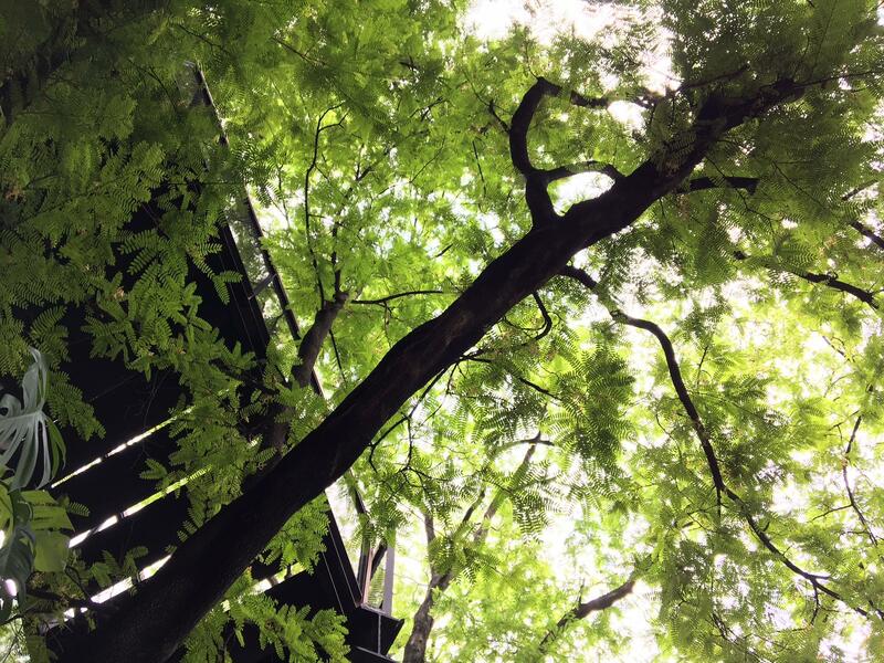 รวมคาเฟ่ เดินทางสะดวกด้วย bts และ mrt ที่คุณไม่ควรพลาด!