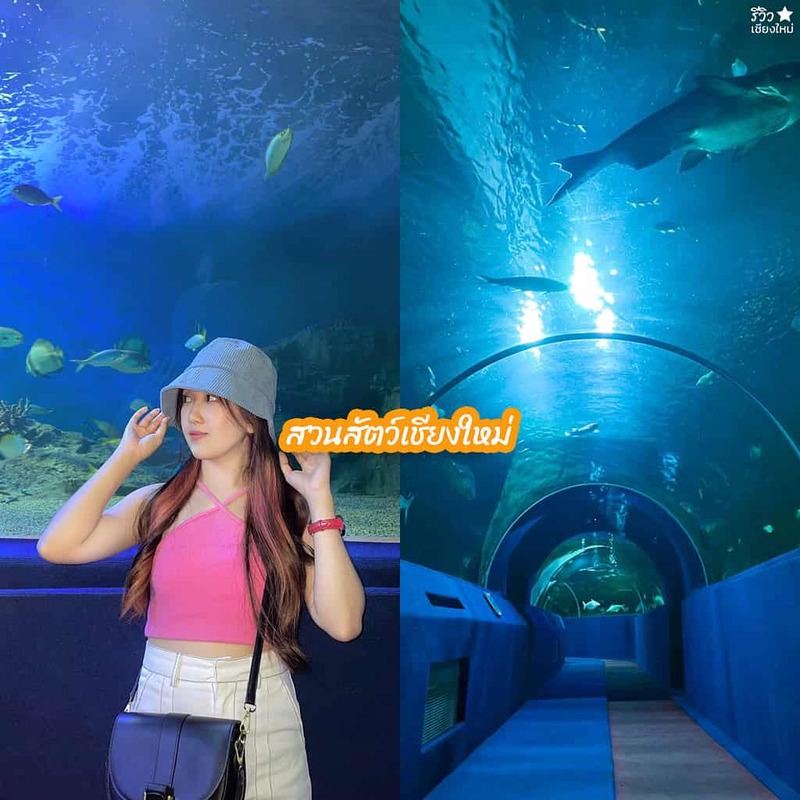 reviewchaingmai, ทริปคนโสด, ที่เที่ยวคนโสดเชียงใหม่, ที่เที่ยวในเชียงใหม่, สถานที่เที่ยวคนโสด, 9 ที่เที่ยวคนโสด เปิดโหมดอยู่คนเดียวแบบชิลๆ