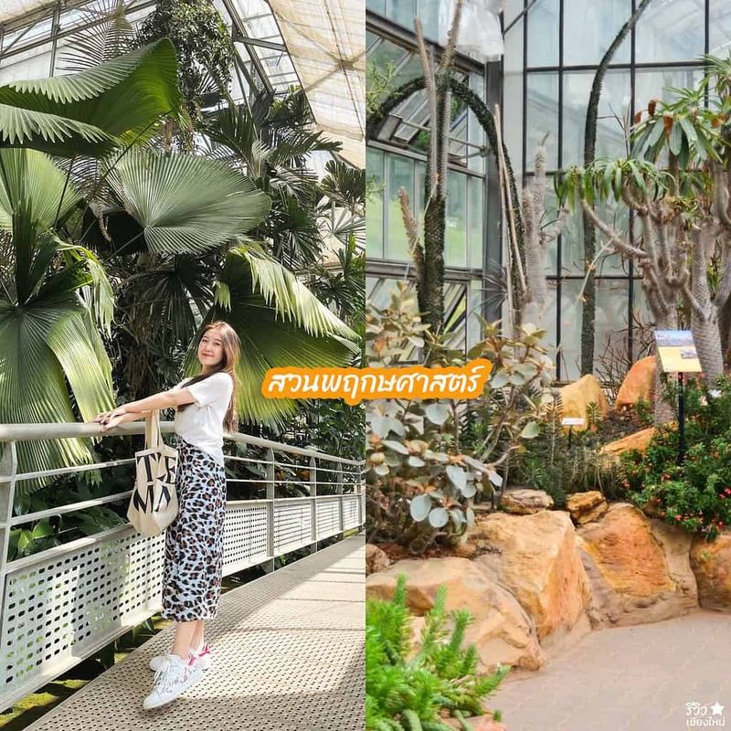 reviewchaingmai, ทริปคนโสด, ที่เที่ยวคนโสดเชียงใหม่, ที่เที่ยวในเชียงใหม่, สถานที่เที่ยวคนโสด, 9 ที่เที่ยวคนโสด เปิดโหมดอยู่คนเดียวแบบชิลๆ