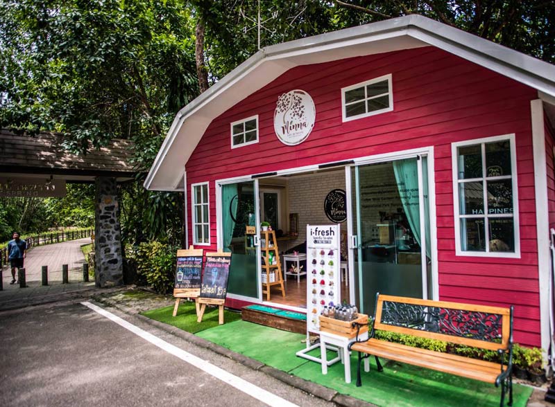 เที่ยวระนอง, คาเฟ่ระนอง, ร้านกาแฟระนอง, top 15+ คาเฟ่ระนอง ต้องไม่พลาดเช็คอิน