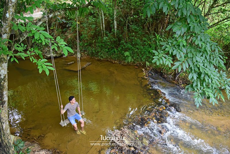 เที่ยวระนอง, คาเฟ่ระนอง, ร้านกาแฟระนอง, top 15+ คาเฟ่ระนอง ต้องไม่พลาดเช็คอิน