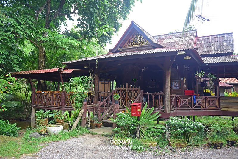 เที่ยวระนอง, คาเฟ่ระนอง, ร้านกาแฟระนอง, top 15+ คาเฟ่ระนอง ต้องไม่พลาดเช็คอิน