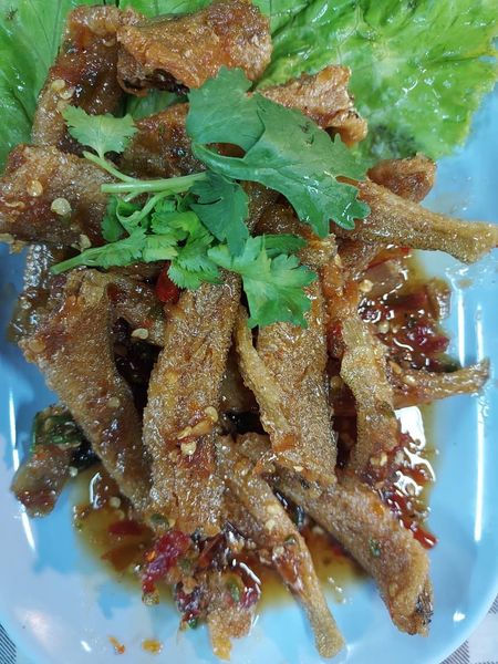 ร้านอาหารบางแสน ชลบุรี อร่อยไม่แพง : 25 ร้านอร่อยราคาประหยัด ใกล้หาดบางแสน