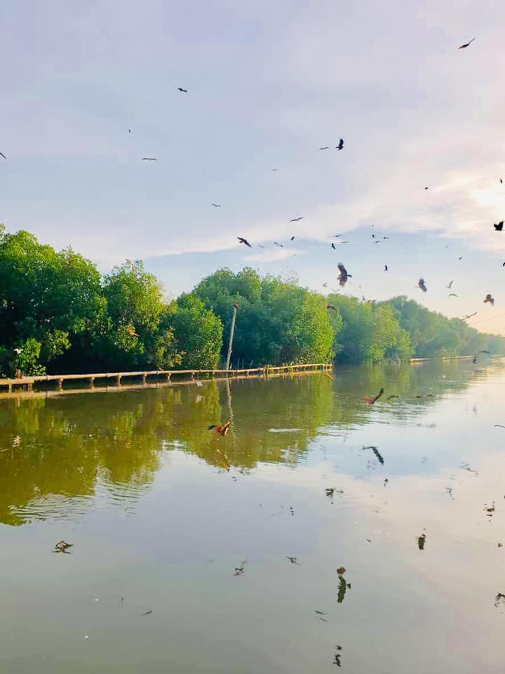 ร้านอาหารวันพ่อ : 10 ร้านอาหารทะเลสดๆ บรรยากาศดีติดริมน้ำในกรุงเทพฯ ไม่ต้องไปไกลถึงต่างจังหวัด! @บางขุนเทียน