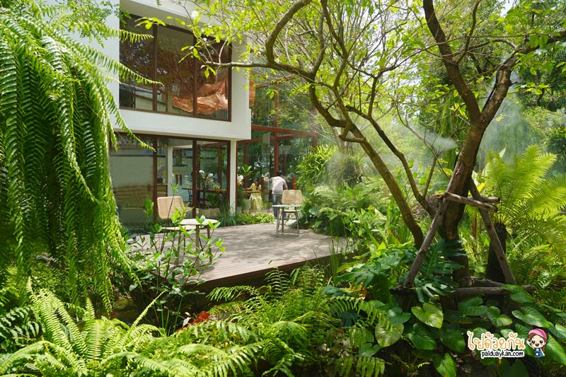 คาเฟ่เกษตรนวมินทร์, ร้านอาหารเรียบด่วนรามอินทรา, ร้านอาหารรามอินทรา, คาเฟ่รามอินทรา, ขมิ้นคาเฟ่, ขมิ้นคาเฟ่ คาเฟ่ในอาคารเก๋ กลางสวนป่า