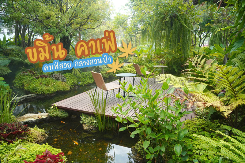 ขมิ้นคาเฟ่ คาเฟ่ในอาคารเก๋ กลางสวนป่า