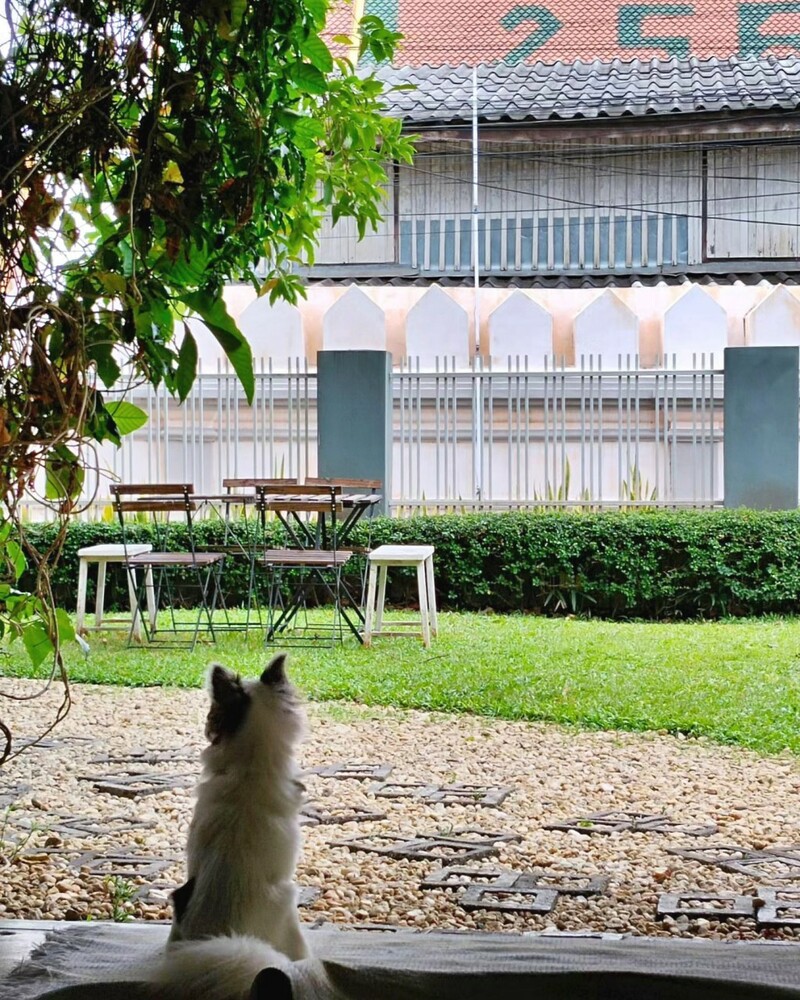 a bizz hotel, b2 lampang hotel, ban mae boonthong, flat white cafe x poshtel, kanecha's home lampang, lada house, memmoth hostel, tha ma-o bouteak homestay, the coconut hotel, the cottage lampang hotel, wienglakor hotel, คเณชา โฮม ลำปาง, ฆเณชา โฮม ลำปาง, ท่ามะโอ บูทีค โฮมสเตย์, ที่พักตัวเมืองลำปาง, ที่พักตัวเมืองลำปาง 2024, ที่พักตัวเมืองลำปาง 2567, ที่พักลำปาง 2024, ที่พักลำปาง 2567, ที่พักลําปาง, ที่พักลําปาง ตัวเมือง, ที่พักลําปาง ในเมือง, ที่พักเมืองลำปาง 2024, ที่พักเมืองลำปาง 2567, ที่พักเมืองลําปาง, บ้านแม่บุญทอง, บีทู ลำปาง, ลดาเฮาส์, ลำปาง เรสซิเดนซ์, เมมมอธ โฮสเทล, แฟลต ไวต์ คาเฟ่ x พอชเทล, แมมมอธ โฮสเทล, โรงแรมเดอะ คอทเทจ ลำปาง, โรงแรมเดอะ โคโคนัท, โรงแรมเอบิช, top 12+ ที่พักลำปาง [กรกฎาคม 2024] เมืองรถม้า เดินทางสะดวก ใกล้แหล่งท่องเที่ยว