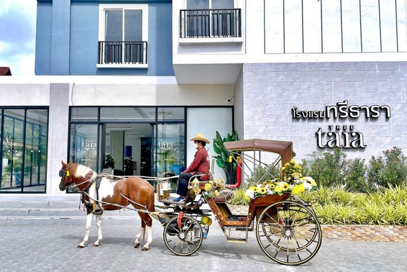 a bizz hotel, b2 lampang hotel, ban mae boonthong, flat white cafe x poshtel, kanecha's home lampang, lada house, memmoth hostel, tha ma-o bouteak homestay, the coconut hotel, the cottage lampang hotel, wienglakor hotel, คเณชา โฮม ลำปาง, ฆเณชา โฮม ลำปาง, ท่ามะโอ บูทีค โฮมสเตย์, ที่พักตัวเมืองลำปาง, ที่พักตัวเมืองลำปาง 2024, ที่พักตัวเมืองลำปาง 2567, ที่พักลำปาง 2024, ที่พักลำปาง 2567, ที่พักลําปาง, ที่พักลําปาง ตัวเมือง, ที่พักลําปาง ในเมือง, ที่พักเมืองลำปาง 2024, ที่พักเมืองลำปาง 2567, ที่พักเมืองลําปาง, บ้านแม่บุญทอง, บีทู ลำปาง, ลดาเฮาส์, ลำปาง เรสซิเดนซ์, เมมมอธ โฮสเทล, แฟลต ไวต์ คาเฟ่ x พอชเทล, แมมมอธ โฮสเทล, โรงแรมเดอะ คอทเทจ ลำปาง, โรงแรมเดอะ โคโคนัท, โรงแรมเอบิช, top 12+ ที่พักลำปาง [กรกฎาคม 2024] เมืองรถม้า เดินทางสะดวก ใกล้แหล่งท่องเที่ยว