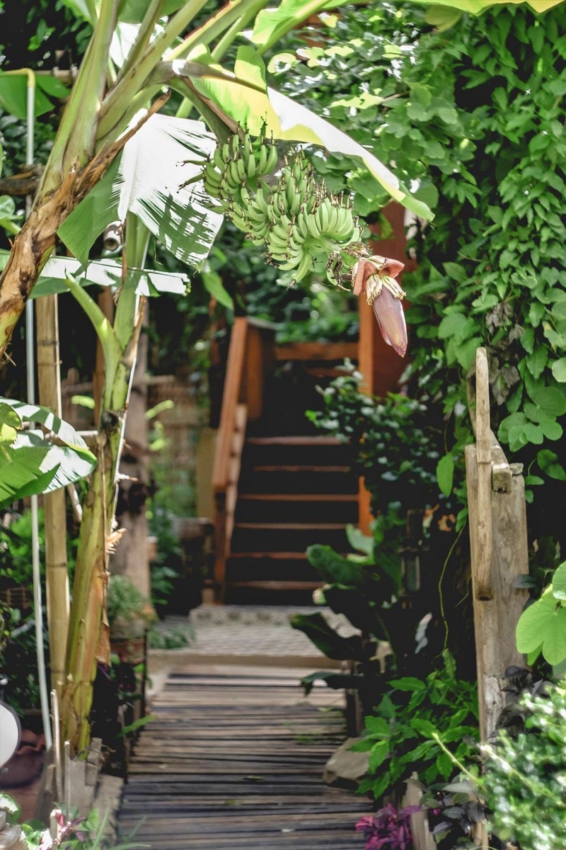 a bizz hotel, b2 lampang hotel, ban mae boonthong, flat white cafe x poshtel, kanecha's home lampang, lada house, memmoth hostel, tha ma-o bouteak homestay, the coconut hotel, the cottage lampang hotel, wienglakor hotel, คเณชา โฮม ลำปาง, ฆเณชา โฮม ลำปาง, ท่ามะโอ บูทีค โฮมสเตย์, ที่พักตัวเมืองลำปาง, ที่พักตัวเมืองลำปาง 2024, ที่พักตัวเมืองลำปาง 2567, ที่พักลำปาง 2024, ที่พักลำปาง 2567, ที่พักลําปาง, ที่พักลําปาง ตัวเมือง, ที่พักลําปาง ในเมือง, ที่พักเมืองลำปาง 2024, ที่พักเมืองลำปาง 2567, ที่พักเมืองลําปาง, บ้านแม่บุญทอง, บีทู ลำปาง, ลดาเฮาส์, ลำปาง เรสซิเดนซ์, เมมมอธ โฮสเทล, แฟลต ไวต์ คาเฟ่ x พอชเทล, แมมมอธ โฮสเทล, โรงแรมเดอะ คอทเทจ ลำปาง, โรงแรมเดอะ โคโคนัท, โรงแรมเอบิช, top 12+ ที่พักลำปาง [กรกฎาคม 2024] เมืองรถม้า เดินทางสะดวก ใกล้แหล่งท่องเที่ยว