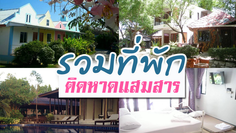 1. @ Nine Resort, 2. ส.เจริญพานิชย์ รีสอร์ท, 3. วราสิน รีสอร์ท, 4. ธันย่าซีวิวแสมสาร, 5. ธิดาทิพย์รีสอร์ท, 6. ภูสิงห์แคมป์ &amp; รีสอร์ท, 7. แสมสารวิลล่า, Top 7+ ที่พักติดทะเลแสมสาร 2567 ที่พักสวยๆ บรรยากาศชิลๆ
